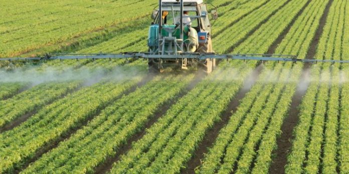 agrotoxicos_1724104157221-e1767014390707-750x375