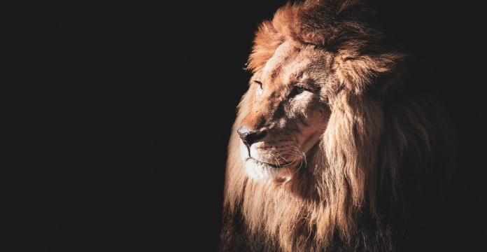 irpf-2026-questoes-polemicas