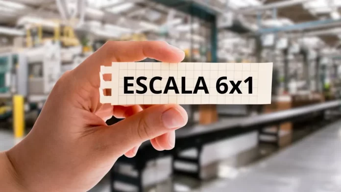 Escala-6x1-1